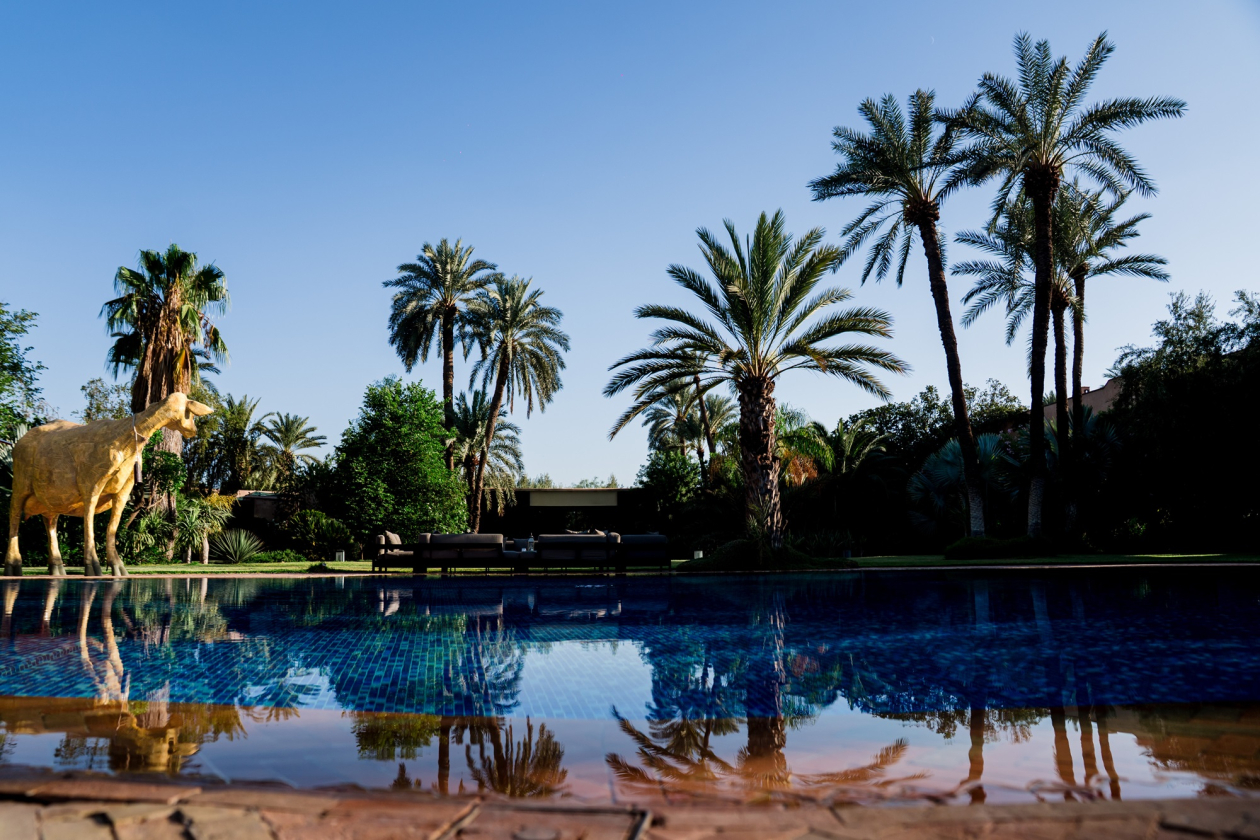 Discover Marrakech
