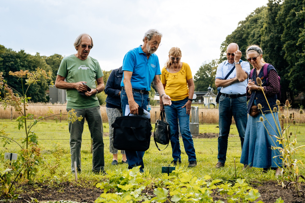 nederlands openluchtmuseum 