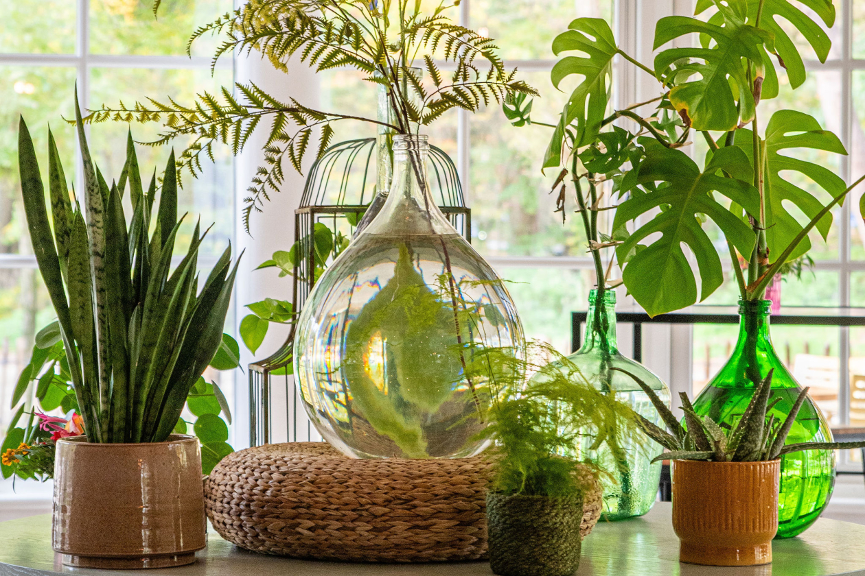 Vuursche Lodge Sfeer