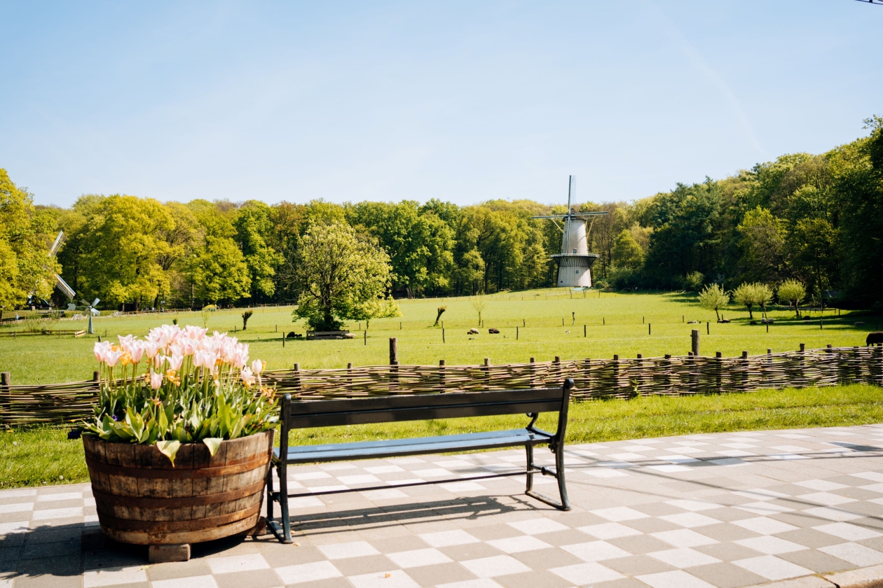 Nederlands Openluchtmuseum