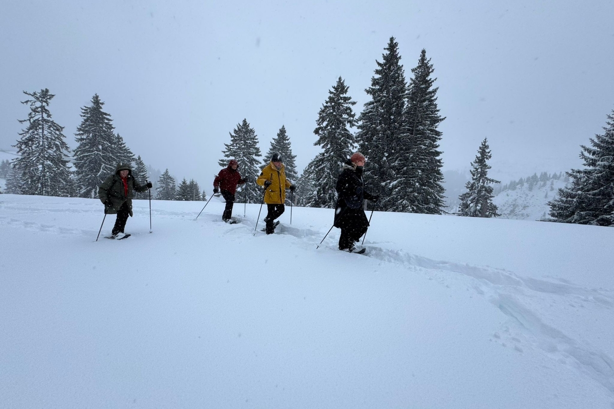 Zwitserland 