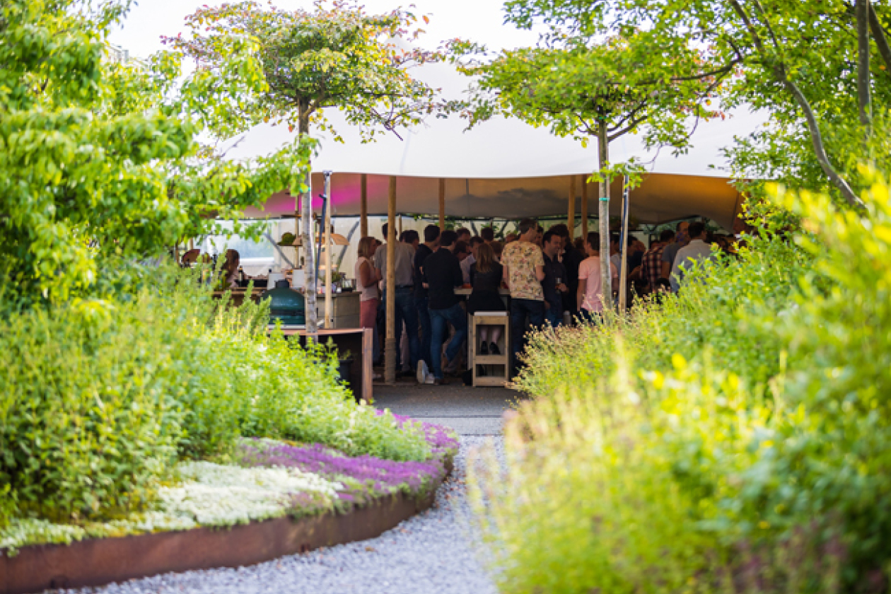 Borrel in de daktuin