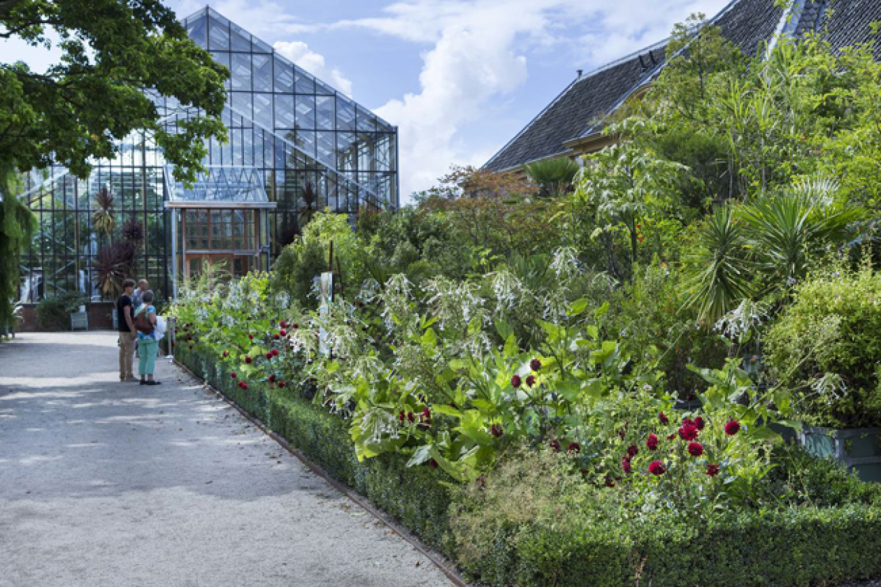 Hortus botanicus