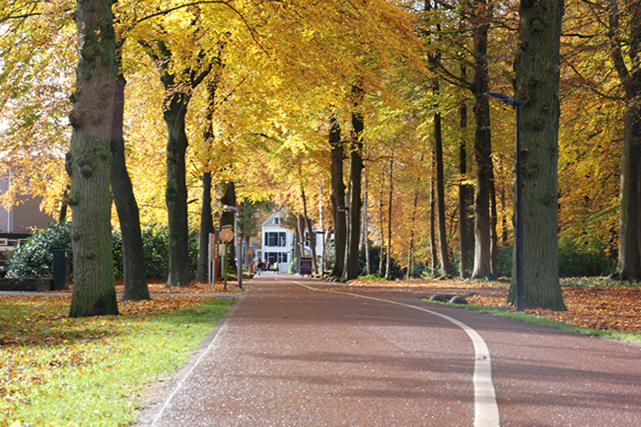 Landgoed de Horst