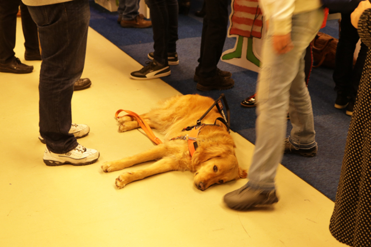 Foto: Maik Nothbaum