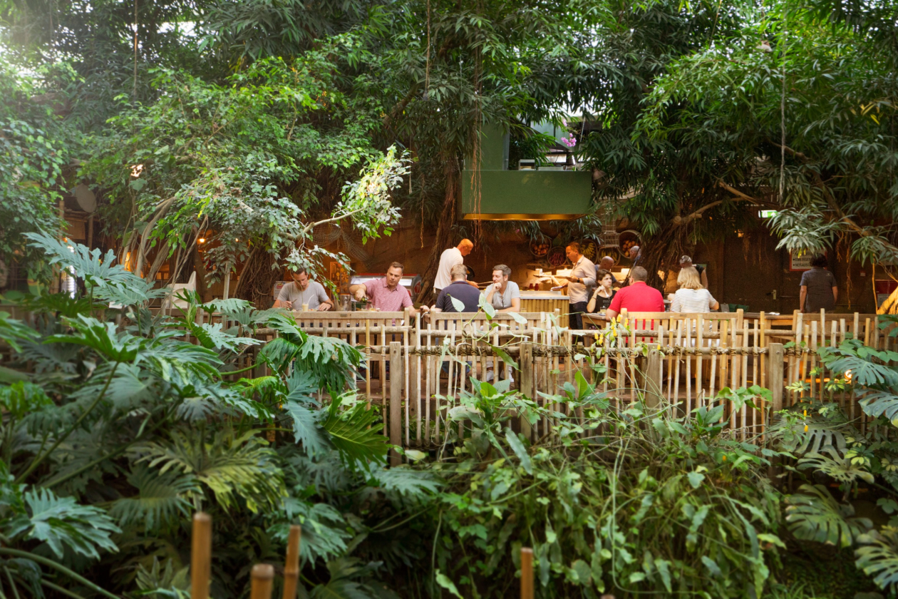 Terras bij Jungle Dome Het Heijderbos