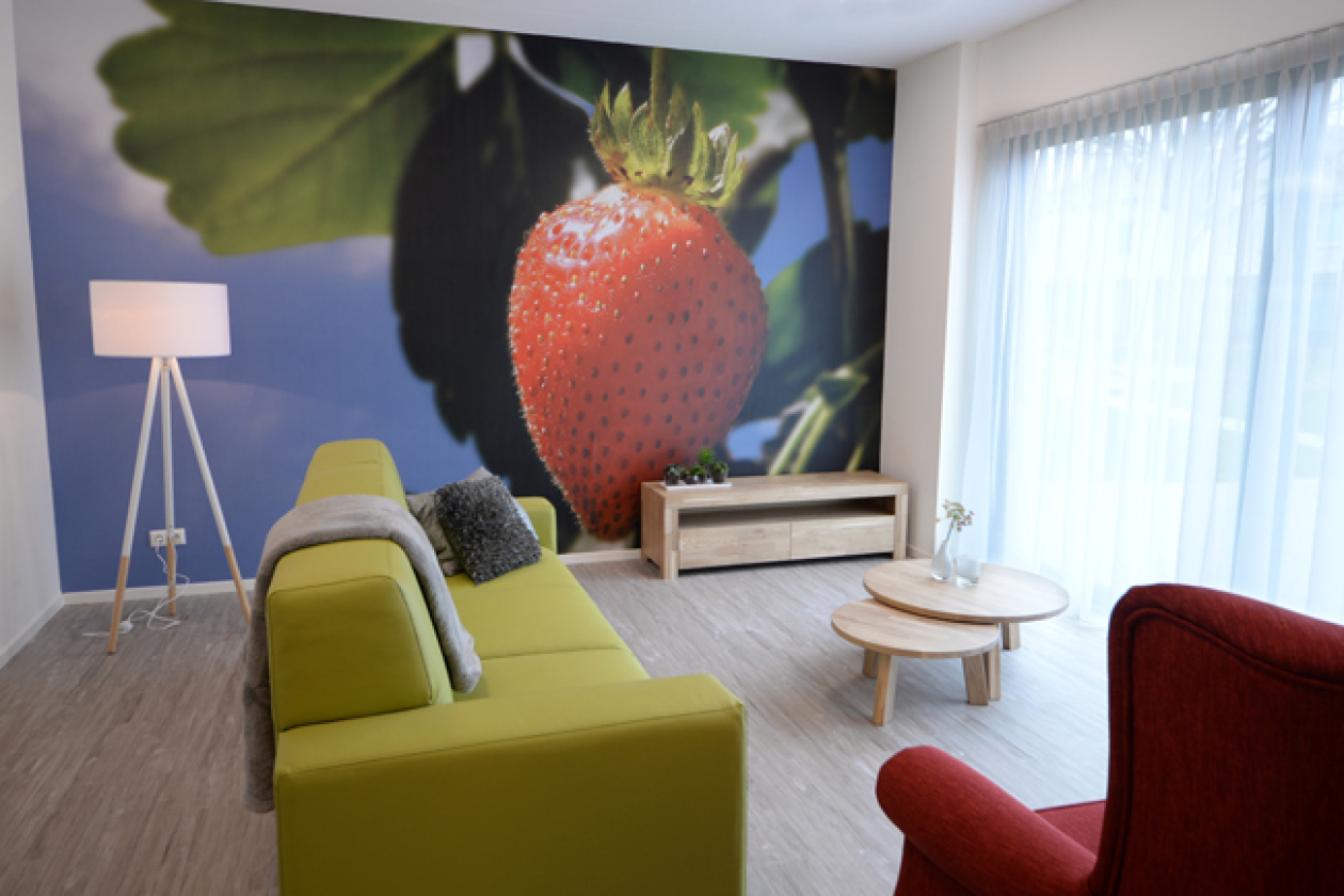 De Leystroom De Leystroom