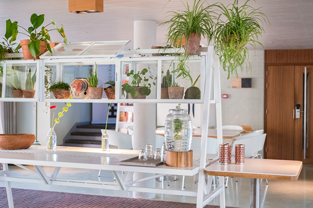blooming Hotel