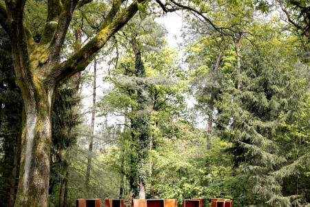 Buitenplaats Bergse Bossen