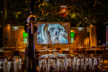 Jungle locatie