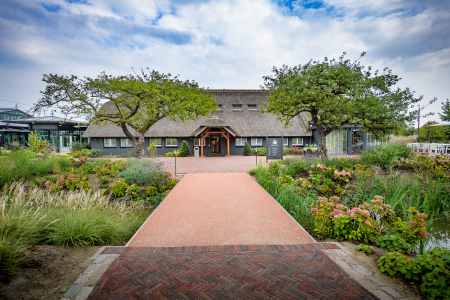 Green Village entree