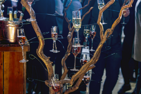 Champagneboom