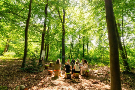 De palaverplek van Conferentiehotel Kontakt der Kontinenten, een buitenvergaderplek in het bos waar een groep mensen in een kring zit op boomstammen, omgeven door bomen en gefilterd daglicht.