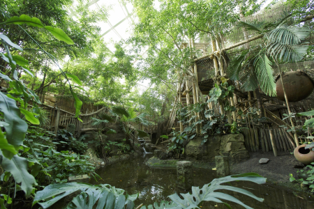 Jungle Dome bij Center Parcs Het Heijderbos