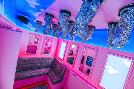 Karaoke kamer cheetah