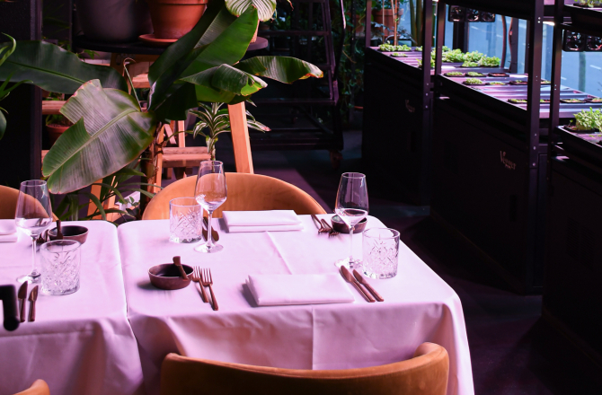 Chef's table LOCALS Restaurant