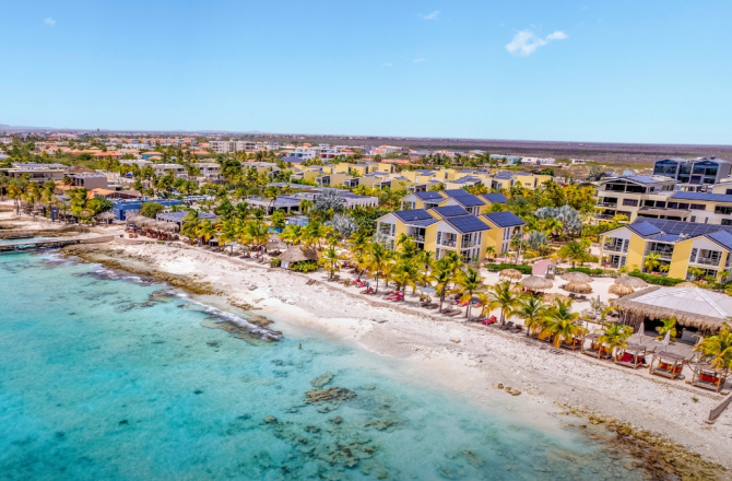 delfins bonaire