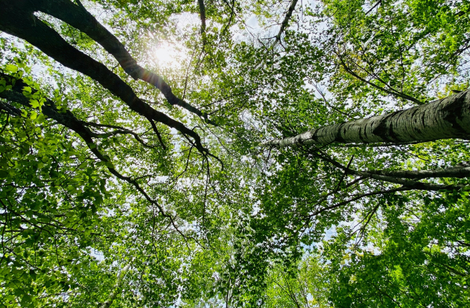 whitepaper verduurzaming