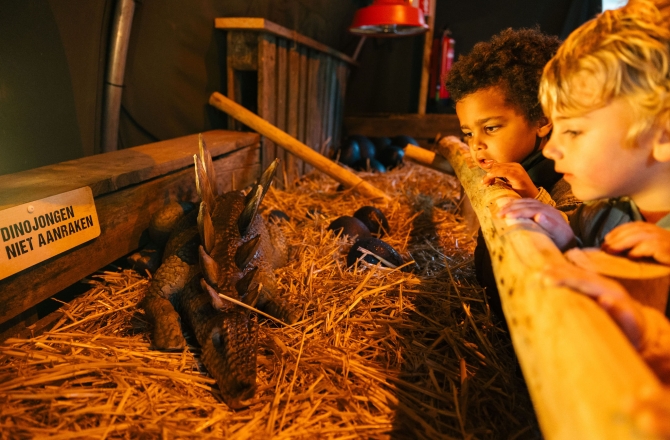 DierenPark Amersfoort