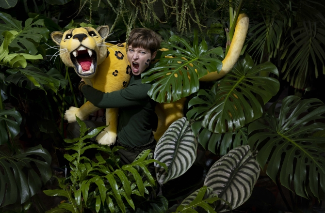 Musica Mundo festival