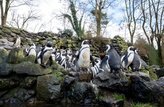 Burgers’ Zoo