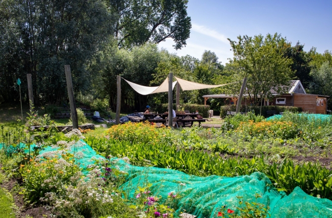 Zelfoogsttuin Koppelsteede