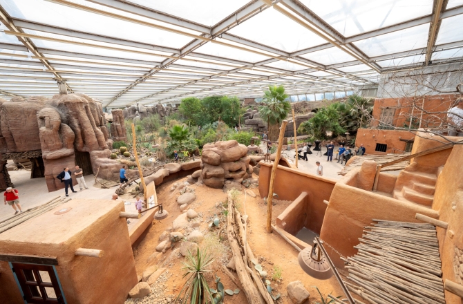 Burgers’ Zoo
