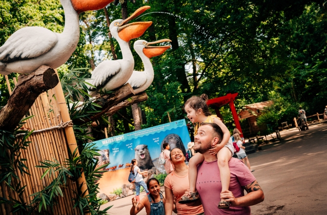 DierenPark Amersfoort 