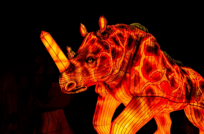 Ouwehands Dierenpark