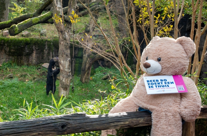 Burgers' Zoo