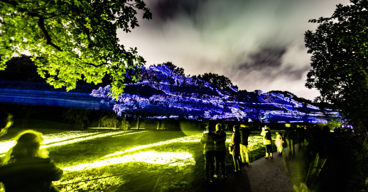 De Grote Schijn zoekt 1000 nachtegalen voor mega pop-upkoor | Events.nl