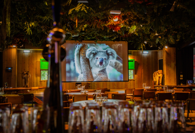 Jungle locatie