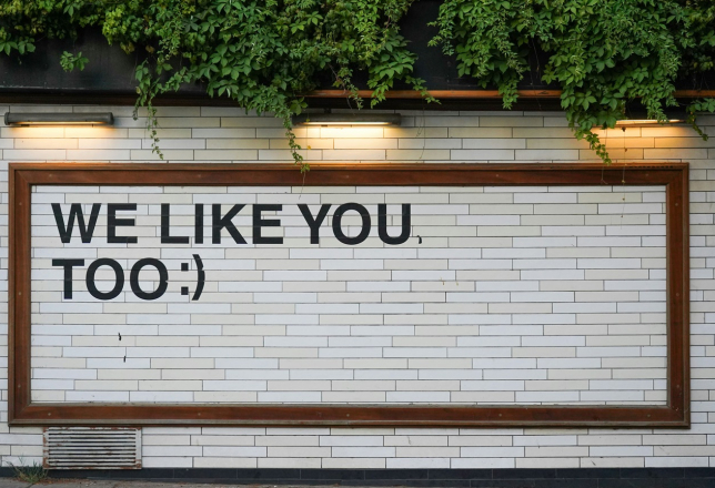 We like you too
