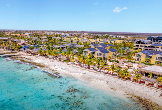 delfins bonaire