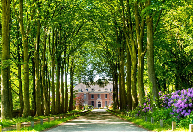 achterhoek 