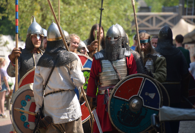 vikingen archeon
