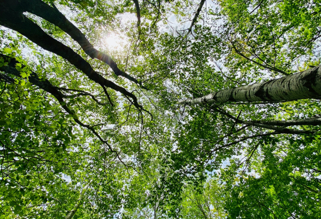 whitepaper verduurzaming