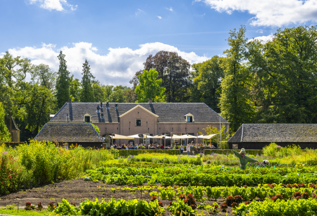 Locatie in het groen