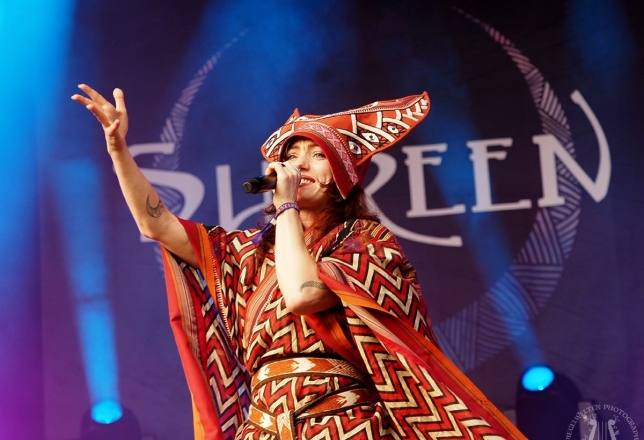 Midzomer Fair Archeon