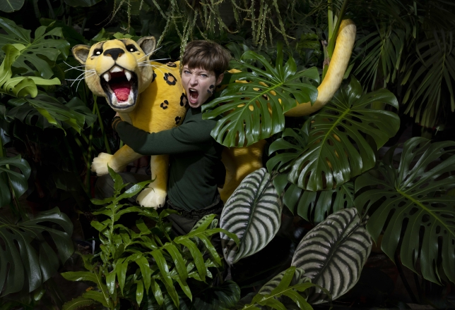 Musica Mundo festival