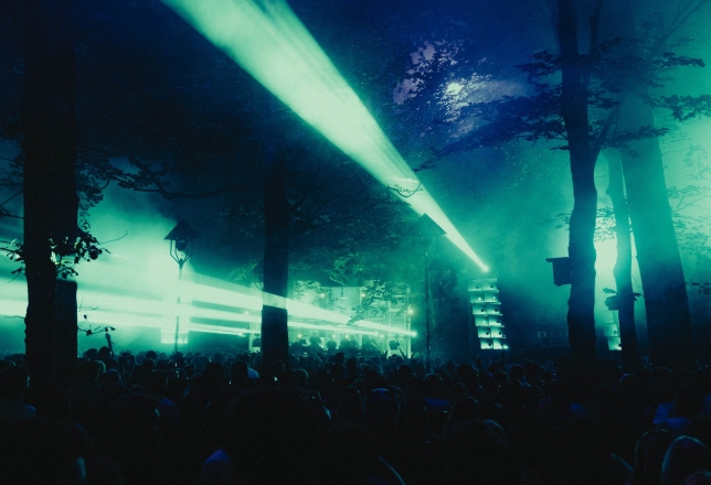 Into the woods festival