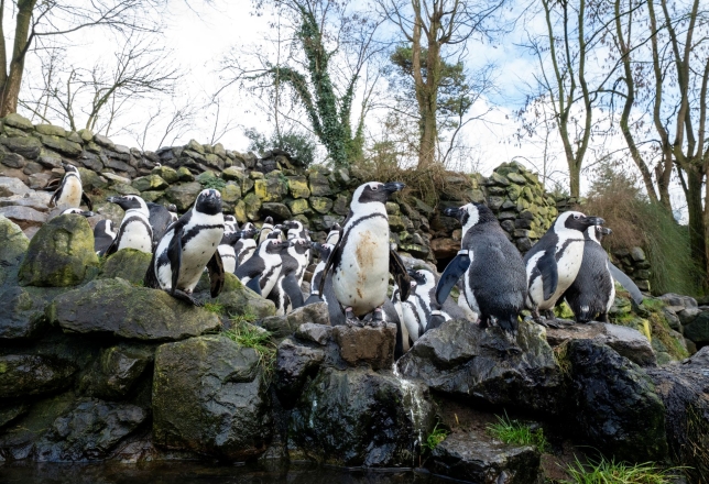 Burgers’ Zoo