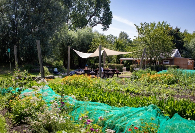 Zelfoogsttuin Koppelsteede