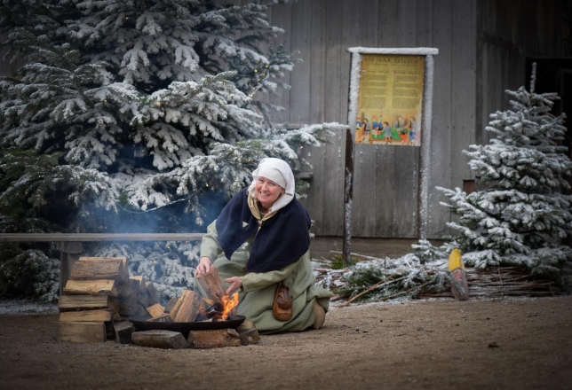 Vrouw bij vuur in winteromgeving