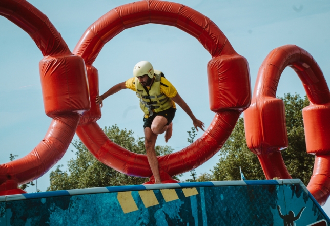 Whipeout