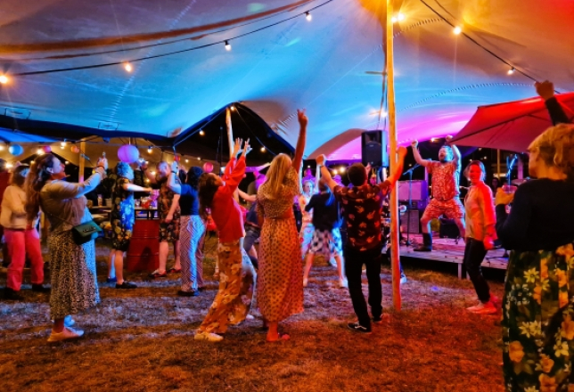 Feestelijke sfeer met dansende gasten op een bedrijfsfeest georganiseerd door Weis Events